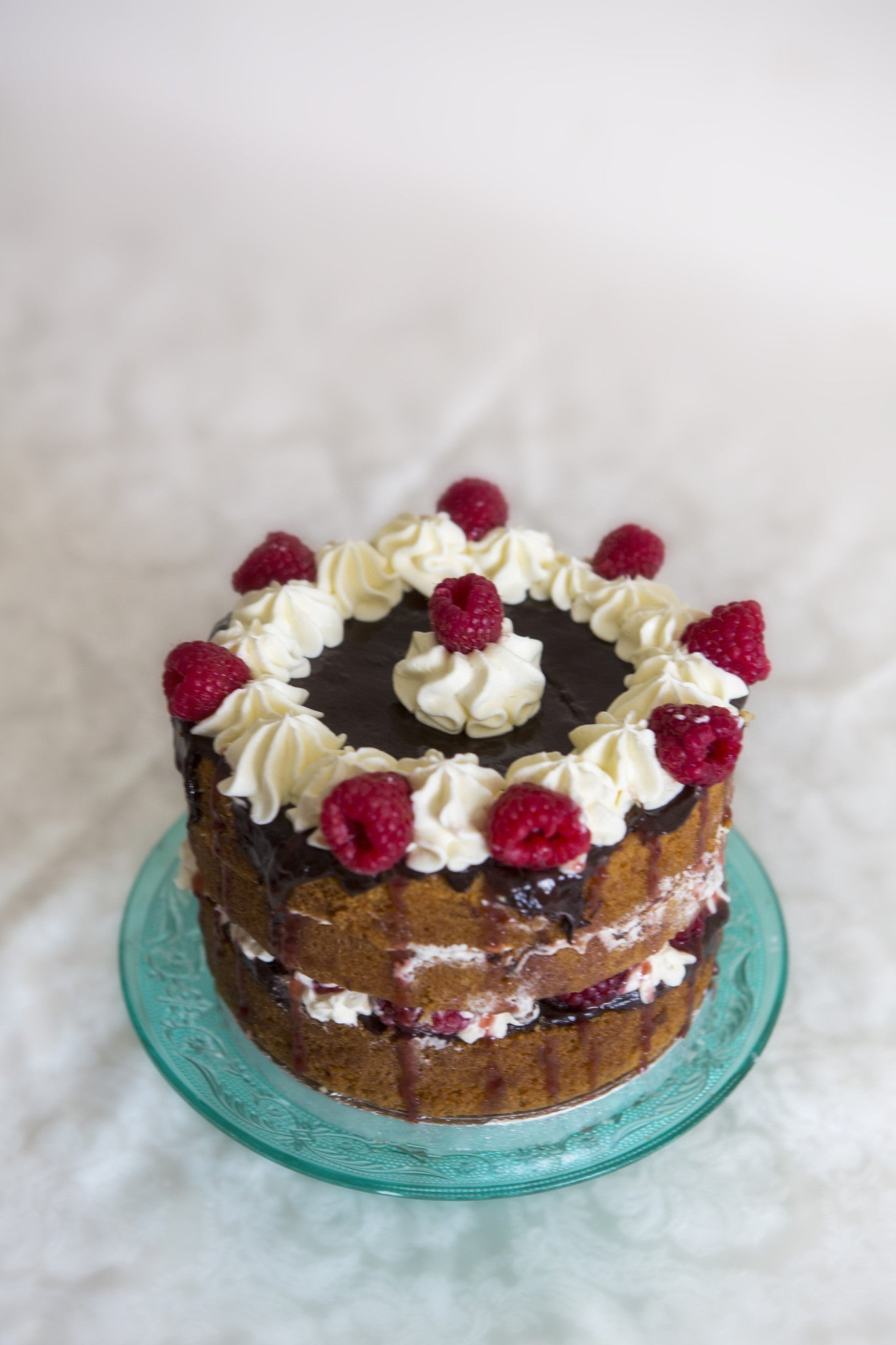 Chocolate Raspberry Ripples